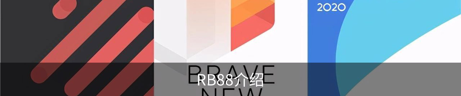 RB88介绍
